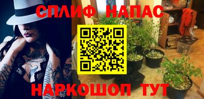 соль курить ск Сланцы