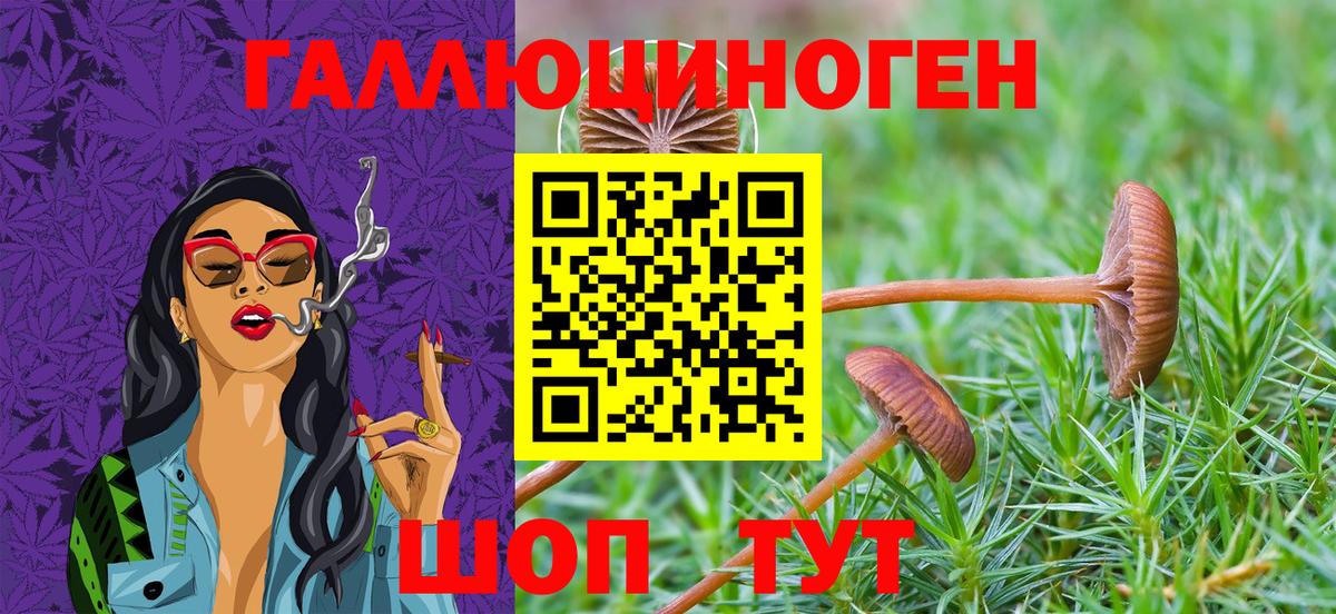 Псилоцибиновые грибы Magic Shrooms Рославль