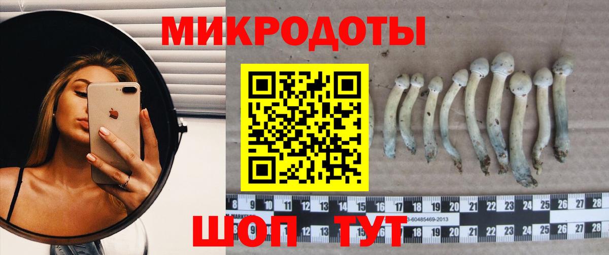 Галлюциногенные грибы GOLDEN TEACHER  Вход с VPN  Рославль  наркошоп  Галлюциногенные грибы Magic Shrooms 